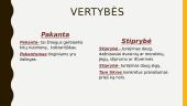 Vertybės - kas tai? 6 puslapis
