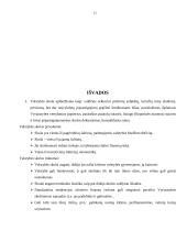 Valstybės skolos aspektai Lietuvoje 14 puslapis