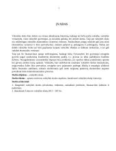 Valstybės skolos aspektai Lietuvoje 2 puslapis