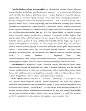 Valstybės skolos aspektai Lietuvoje 4 puslapis