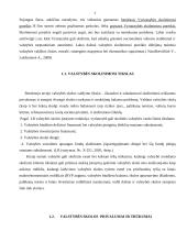 Valstybės skolos aspektai Lietuvoje 5 puslapis