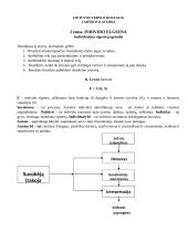 Individualaus elgesio pagrindai  