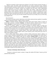 Individualaus elgesio pagrindai   11 puslapis