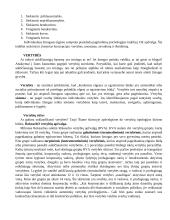 Individualaus elgesio pagrindai   3 puslapis
