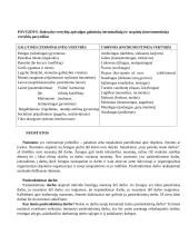 Individualaus elgesio pagrindai   4 puslapis