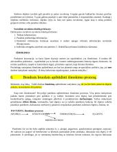 Individualaus elgesio pagrindai   7 puslapis