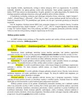 Individualaus elgesio pagrindai   10 puslapis