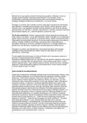 Alkoholio ir kitų narkotikų vartojimo prevencija mokykloje 6 puslapis