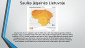 Saulės ir vėjo jegainių paplitimas Lietuvoje 3 puslapis