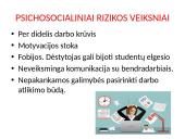 Profesinės rizikos vertinimas  15 puslapis