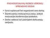 Profesinės rizikos vertinimas  16 puslapis