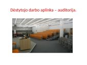 Profesinės rizikos vertinimas  3 puslapis