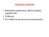 Profesinės rizikos vertinimas  7 puslapis