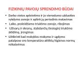 Profesinės rizikos vertinimas  8 puslapis