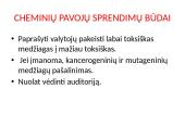 Profesinės rizikos vertinimas  10 puslapis