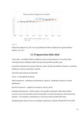 Veiksniai, lemiantys dolerio kurso kitimą. Dolerio kurso kitimas euro atžvilgiu. 19 puslapis