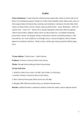 Veiksniai, lemiantys dolerio kurso kitimą. Dolerio kurso kitimas euro atžvilgiu. 3 puslapis