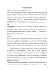 Veiksniai, lemiantys dolerio kurso kitimą. Dolerio kurso kitimas euro atžvilgiu. 4 puslapis