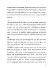 Veiksniai, lemiantys dolerio kurso kitimą. Dolerio kurso kitimas euro atžvilgiu. 5 puslapis