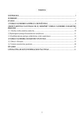 Verslo sandorių sudarymo ypatumai  2 puslapis