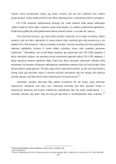 Verslo sandorių sudarymo ypatumai  20 puslapis