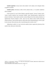 Verslo sandorių sudarymo ypatumai  8 puslapis