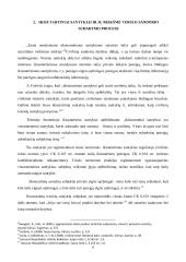 Verslo sandorių sudarymo ypatumai  9 puslapis