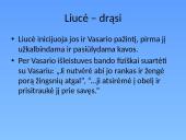 Liucės literatūrinis paveikslas (V. Mykolaitis – Putinas. „Altorių šešėly”) 11 puslapis