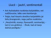 Liucės literatūrinis paveikslas (V. Mykolaitis – Putinas. „Altorių šešėly”) 12 puslapis