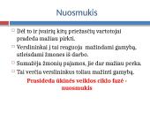 BVP ir ūkinės veiklos ciklai 11 puslapis