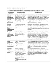 J.Radvano herojinio epo ,,Radviliada‘‘ analizė