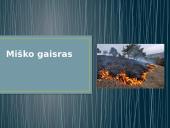 Miško gaisras