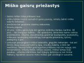 Miško gaisras 2 puslapis