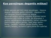 Miško gaisras 3 puslapis