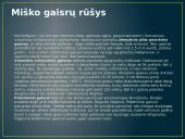 Miško gaisras 5 puslapis