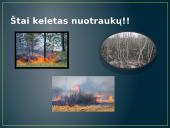 Miško gaisras 6 puslapis