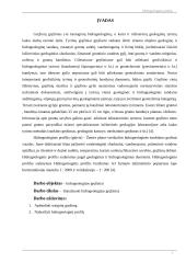 Hidrogeologijos profilis 3 puslapis