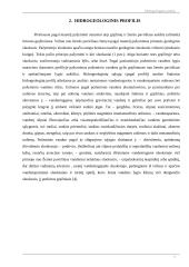 Hidrogeologijos profilis 6 puslapis