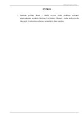 Hidrogeologijos profilis 7 puslapis