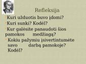 K. Donelaitis ,,Metai”. Gamta - gyvenimo mokytoja. 13 puslapis