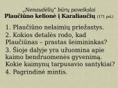 K. Donelaitis ,,Metai”. Gamta - gyvenimo mokytoja. 17 puslapis