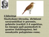 K. Donelaitis ,,Metai”. Gamta - gyvenimo mokytoja. 5 puslapis