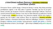 VBE egzaminui: rašinio struktūra 6 puslapis