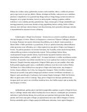 Gėrio ir blogio vaizdiniai V. Goldingo romane “Musių valdovas” 2 puslapis