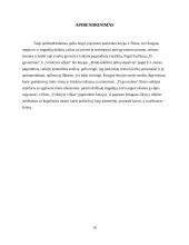 Filmų ir knygų analizė 9 puslapis