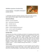 Modelinio organizmo charakteristika