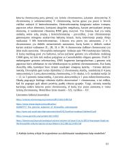 Modelinio organizmo charakteristika 3 puslapis