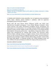 Modelinio organizmo charakteristika 5 puslapis