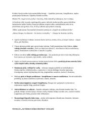 Juozas Aputis. Novelės "Autorius ieško išeities" analizė + KONSPEKTAS 2 puslapis