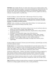 Juozas Aputis. Novelės "Autorius ieško išeities" analizė + KONSPEKTAS 3 puslapis